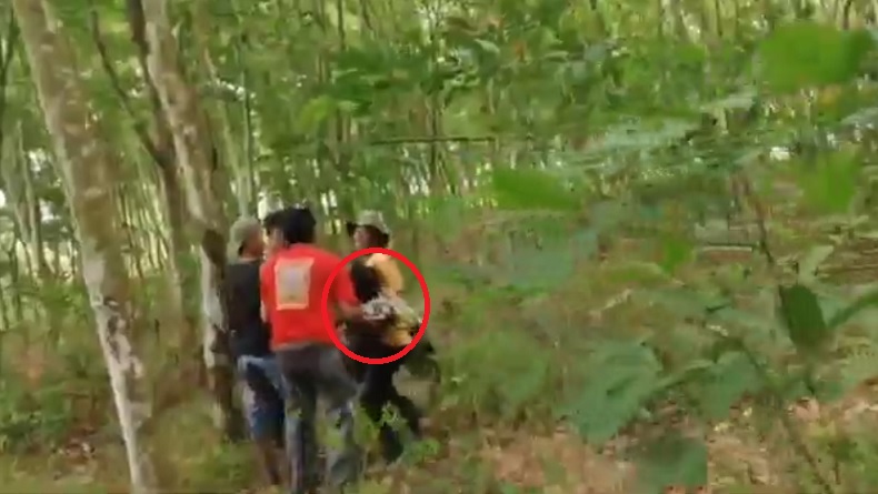 Tragis! Kepala Desa di Lampung Timur Tewas Terinjak Kawanan Gajah Liar