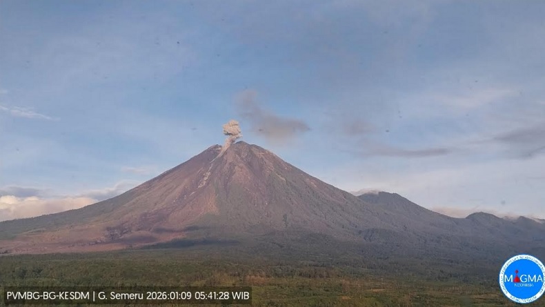 Gunung Semeru 8 Kali Erupsi hingga Pagi Ini, PVMBG: Waspada Awan Panas