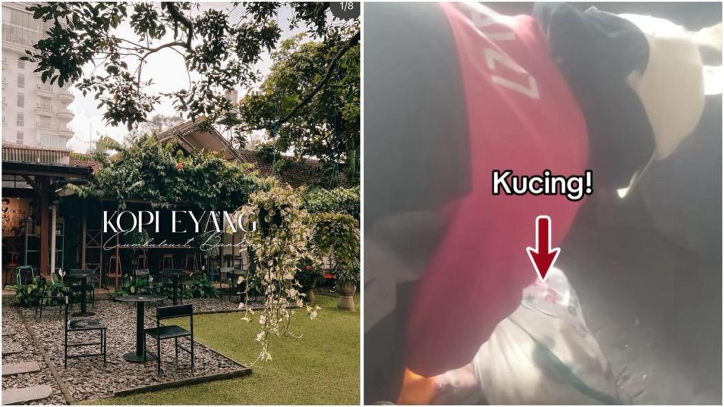 Terungkap! Ini Alasan Kopi Eyang Bungkus Kucing dalam Karung dan Dibuang Hidup-Hidup
