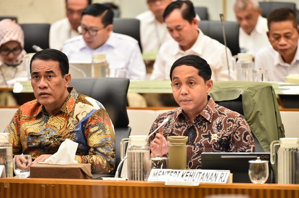 Menhut Moratorium Penebangan dan Pengangkutan Kayu Imbas Banjir dan Longsor Sumatra