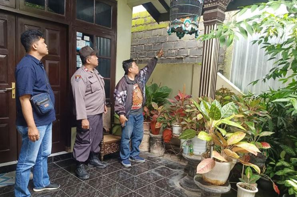 Terekam CCTV, Aksi Pencurian Murai Batu Seharga Rp150 Juta Gegerkan Pleret Bantul