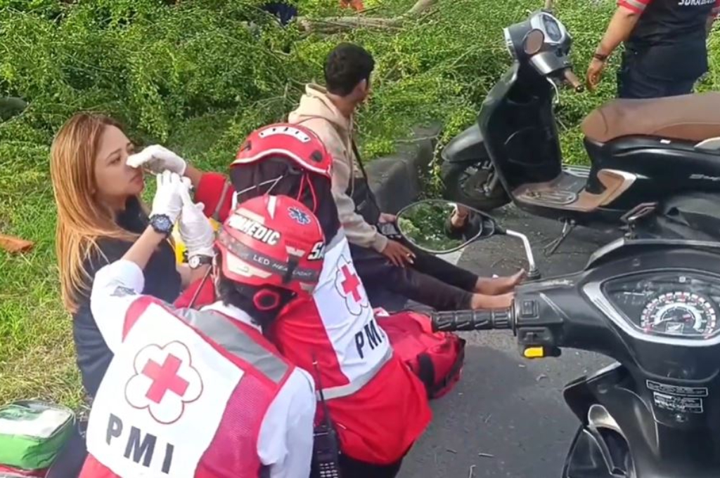 Pohon Tumbang di Surabaya Timpa Pengendara Motor, Penumpang Luka di Kepala