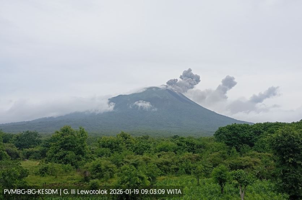 Gunung Ile Lewotolok di NTT Meletus, Kolom Abu Capai 500 Meter