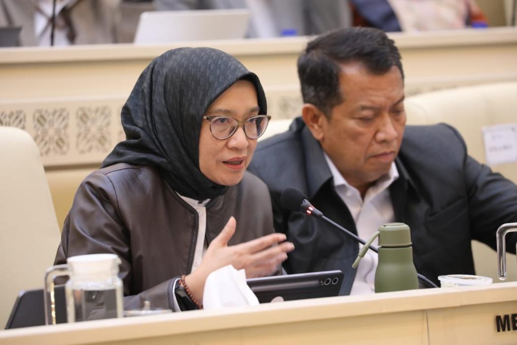 Pemulihan Pascabencana, Menteri PANRB Perkuat Tata Kelola Pemerintahan dan Pelayanan Publik