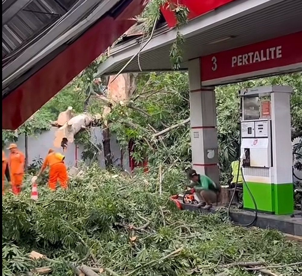 Detik-Detik Pohon Tumbang Timpa SPBU di Senen gegara Hujan dan Angin Kencang