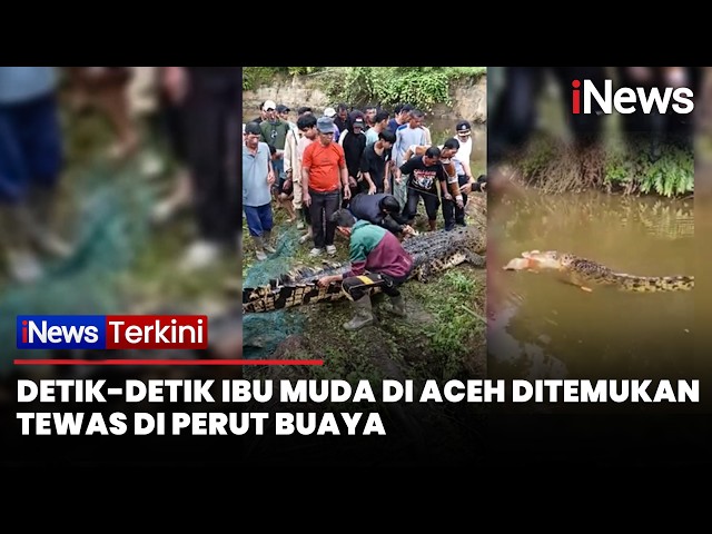 Detik-Detik Ibu Muda Pencari Kerang di Aceh Ditemukan Tewas dalam Perut Buaya 