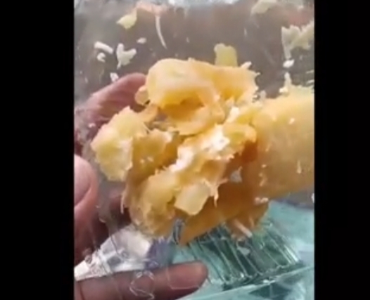 Viral Menu MBG Siswa SD di Jombang Singkong Rebus dan Sambal Tempe