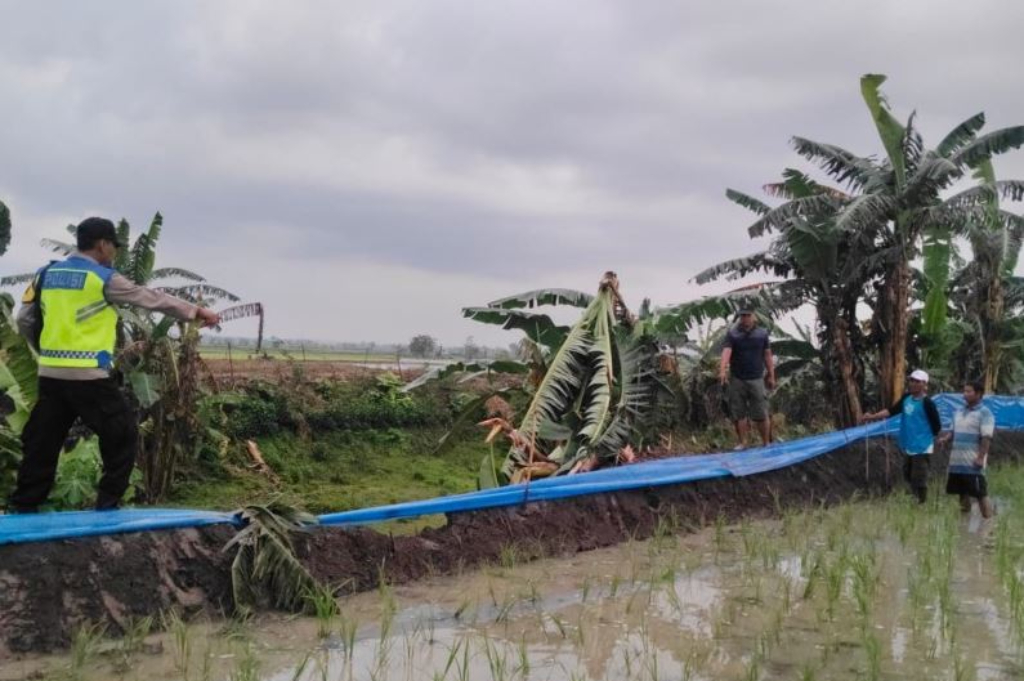 Lansia di Grobogan Tersambar Petir di Sawah, Langsung Tewas Seketika