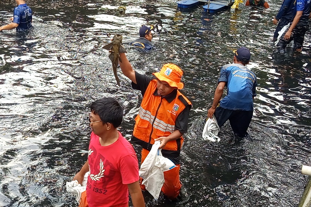 Alasan MUI Tak Setuju Ikan Sapu-Sapu Dikubur Hidup-Hidup