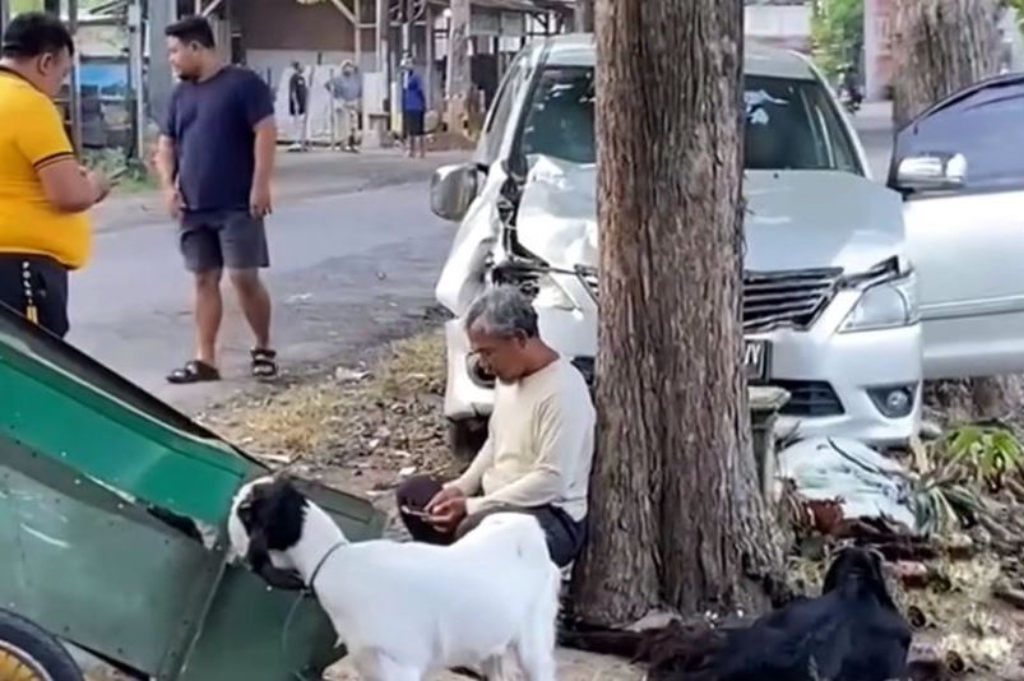 Kecelakaan Mobil Innova Tabrak Gerobak di Ponorogo, 4 Ekor Kambing Mati