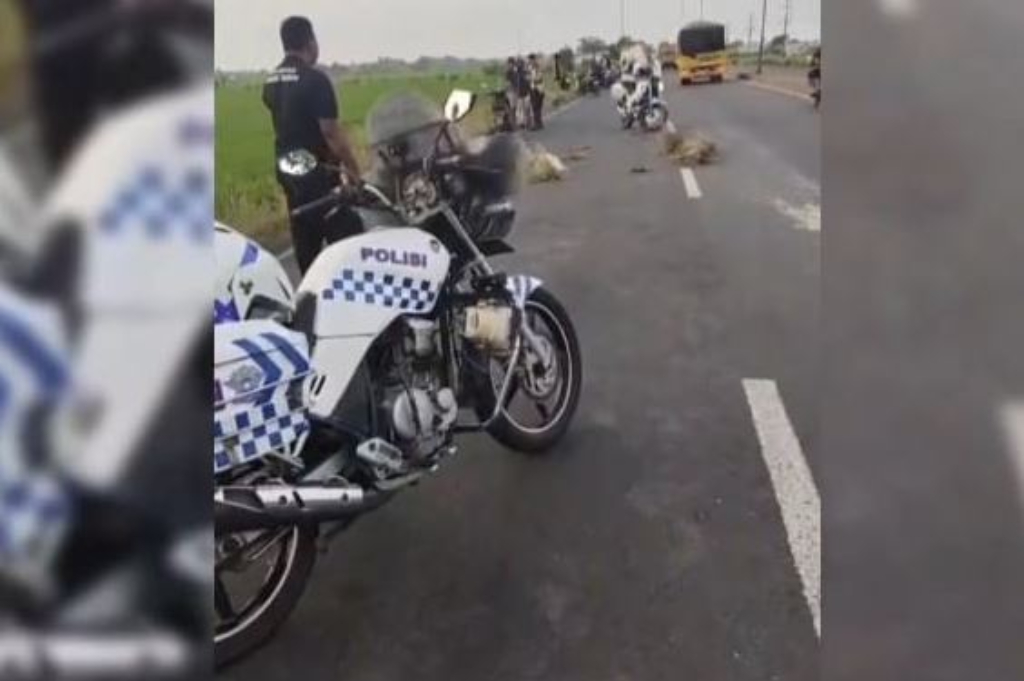 Ngeri! Pemotor di Tuban Tewas Terlindas Truk Tronton usai Gagal Menyalip
