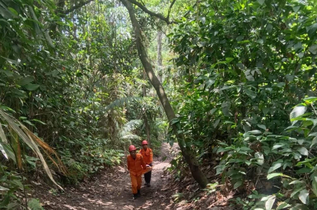 Dramatis! Tim SAR Diterjang Lava Pijar Erupsi Gunung Dukono saat Cari 2 WNA Hilang