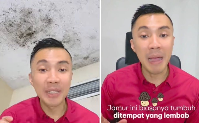 Jangan Anggap Sepele Bercak Hitam di Sudut Rumah, Dokter Ungkap Bahaya Black Mold