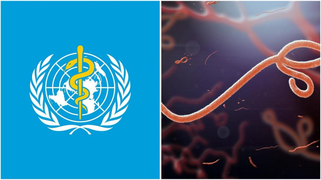 WHO Tetapkan Wabah Ebola sebagai Darurat Global, 80 Orang Meninggal Dunia