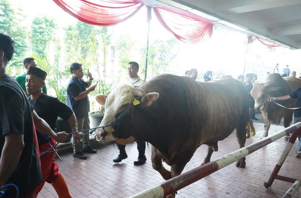 Idul Adha, Masjid Istiqlal Salurkan 10.728 Bungkus Daging Kurban Isi 1 Kg per Paket