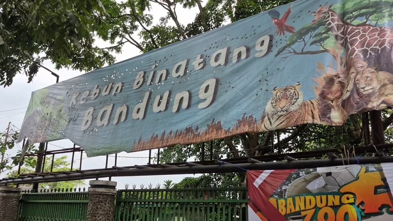 Faunaland Resmi Jadi Pengelola, Bandung Zoo Segera Dibuka Kembali