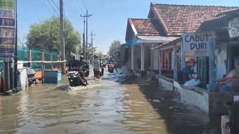 Banjir Rob Rendam 5 Desa di Sidoarjo, Ratusan Hektare Tambak Rusak