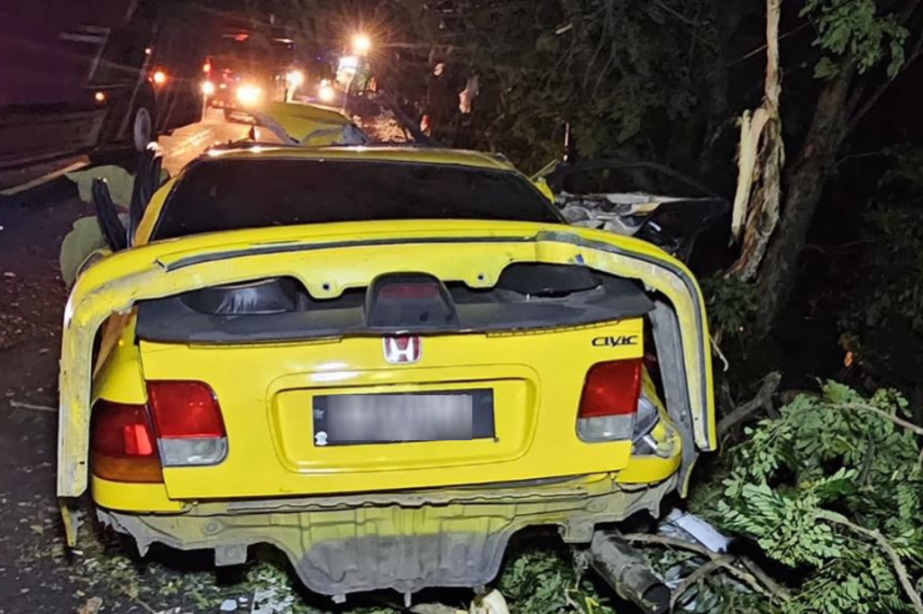 Kecelakaan Mobil Bos Travel Hilang Kendali Hantam Pohon di Bangkalan, 2 Orang Tewas