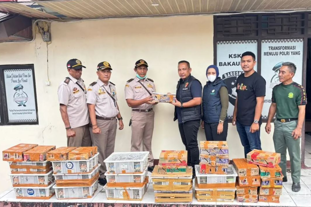 Polres Lampung Selatan Gagalkan Pengiriman 807 Burung Ilegal di Pelabuhan Bakauheni