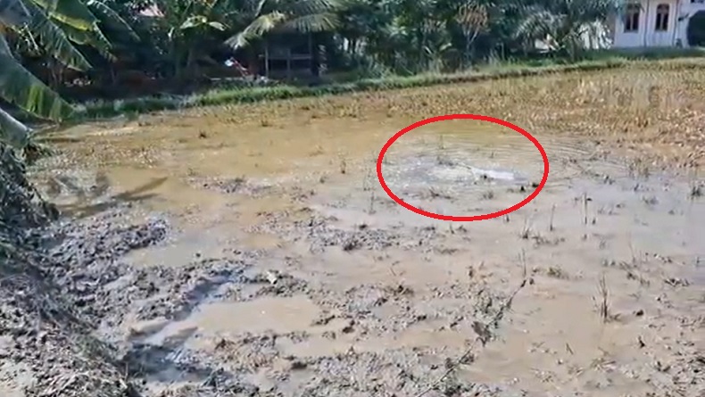 Gelembung Gas Muncul Pascasemburan Lumpur di Aceh Timur, Warga Masih Mengungsi