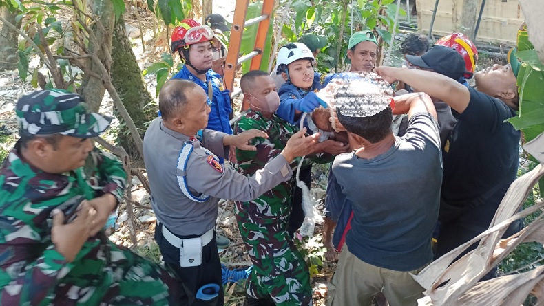 Tragis! Tersengat Listrik Saat Cari Pakan Ternak, Buruh Tani di Bantul Tewas di Atas Pohon