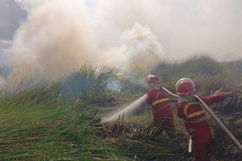 Karhutla di Indonesia Capai 107.465 Hektare, Kalbar Paling Luas Terdampak