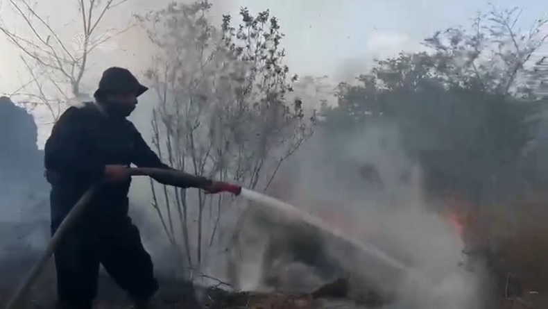 Kebakaran Hutan Hanguskan Belasan Hektare di Gunung Ciremai