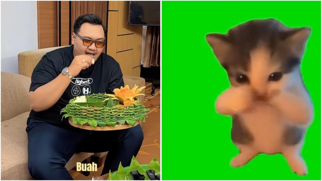 Ndarboy Genk Ngaku Heran Lagu Kicau Mania Viral gegara Video Kucing di TikTok