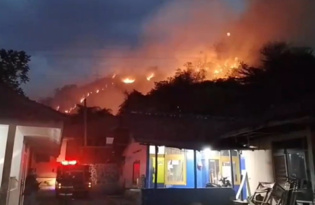 Kebakaran Lahan di Gunung Paseban Bandung, Api Dekati Permukiman Warga