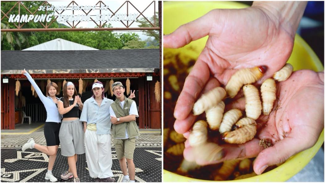 Hidden Gems Sarawak Mulai Naik Daun, Berburu Ulat Sagu hingga Hutan Tropis