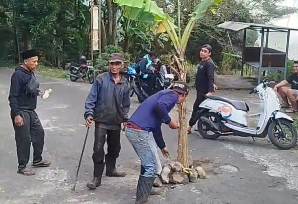 Jalur Pacet Lumpuh Ditanami Pohon Pisang, Guru dan Siswa Bolak-Balik Angkut MBG