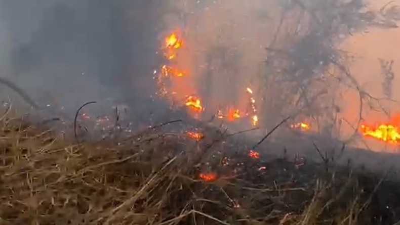 Kebakaran Lahan Meluas di Savana Bromo, Akses Wisata dari Malang dan Lumajang Ditutup