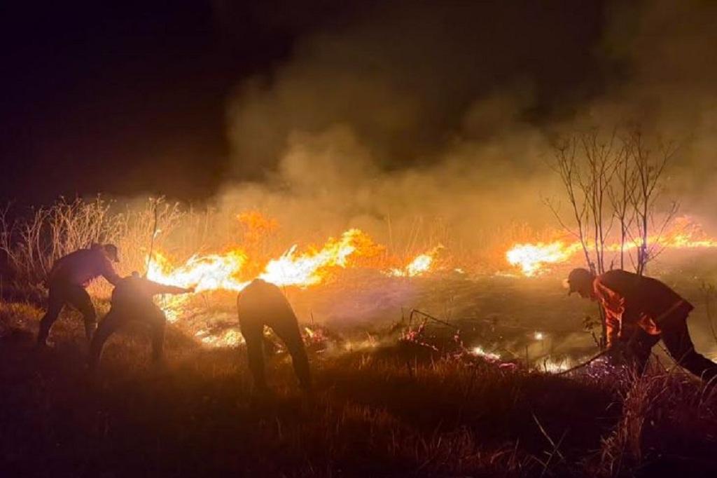 Update Karhutla Gunung Bromo, 176 Ha Lahan Terbakar hingga 2 Helikopter Dikerahkan