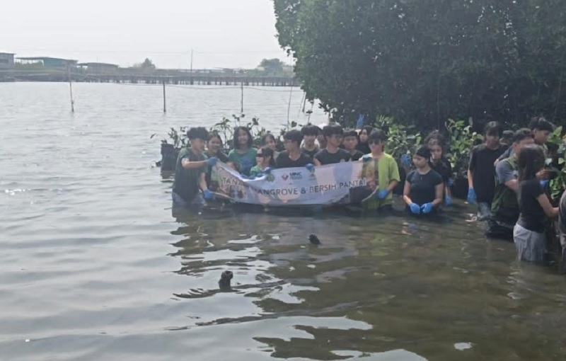 Rumah Mangrove Marunda Ingatkan Pentingnya Penanaman Bakau untuk Cegah Abrasi