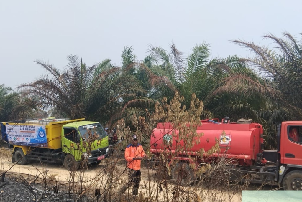 20 Ha Lahan Gambut Terbakar di Jambi, 11.000 Liter Air Dikerahkan Padamkan Api