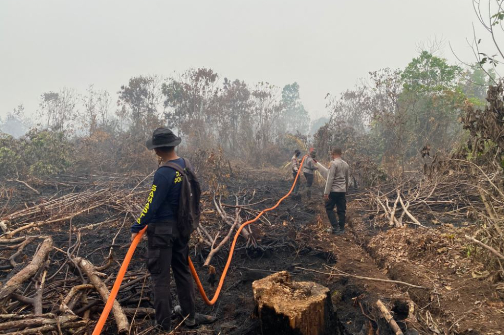 Karhutla Singkawang Masuki Hari ke-18, Tim Gabungan Kendalikan Kebakaran Lahan Gambut