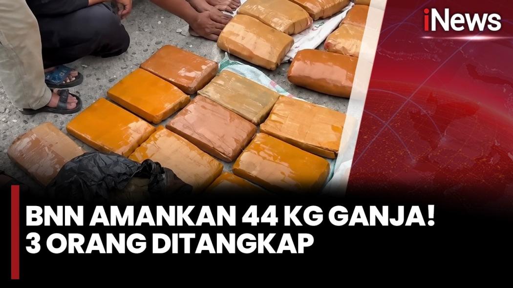 BNNP Sumbar Gagalkan Penyelundupan 44 Kg Ganja di Pasaman