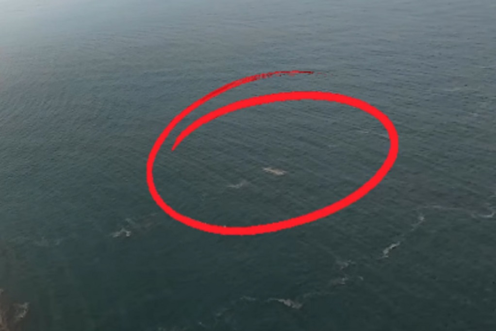 Viral Drone Disebut Temukan Kapal 5 Jurnalis Hilang di Sekitar Anak Krakatau, Tim SAR: Nihil