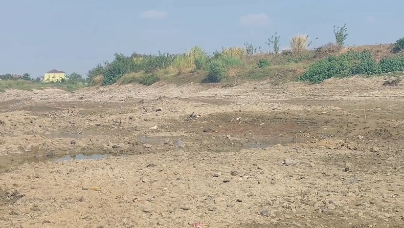 Kekeringan Ekstrem di Pati, 1.700 Hektare Sawah Terancam Gagal Panen