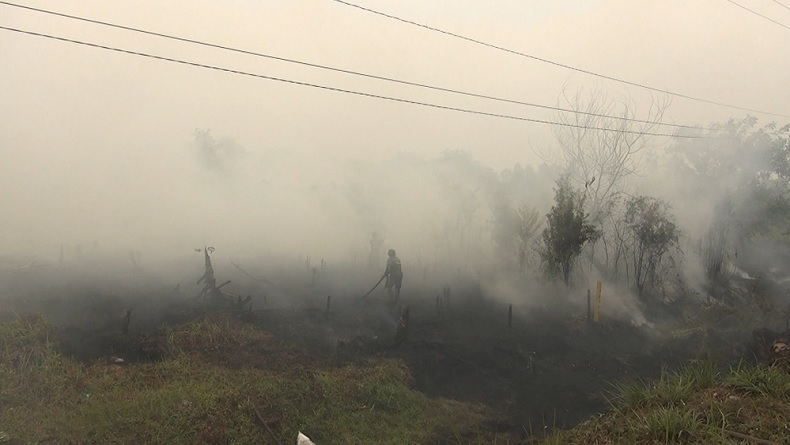 BNPB Siapkan Operasi Modifikasi Cuaca untuk Kurangi Kabut Asap di Kalteng