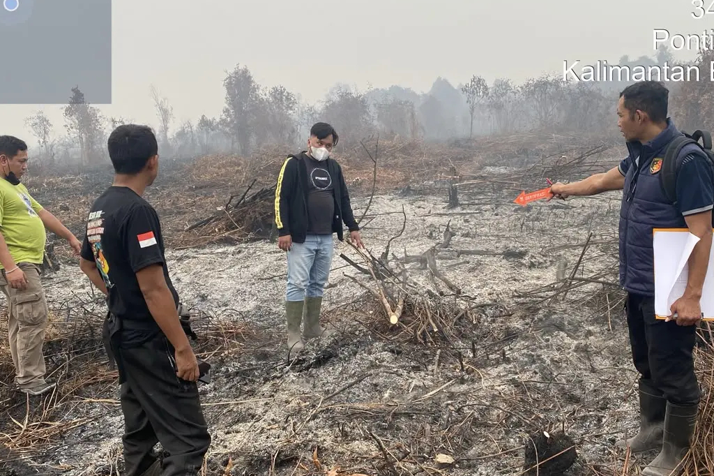 Viral Dugaan Pembakaran Lahan Libatkan Oknum Anggota DPRD Mempawah, Polisi Bergerak
