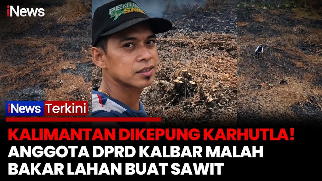 Karhutla Kepung Kalimantan! Anggota DPRD Mempawah Malah Bakar Lahan untuk Sawit, Polisi Langsung Olah TKP