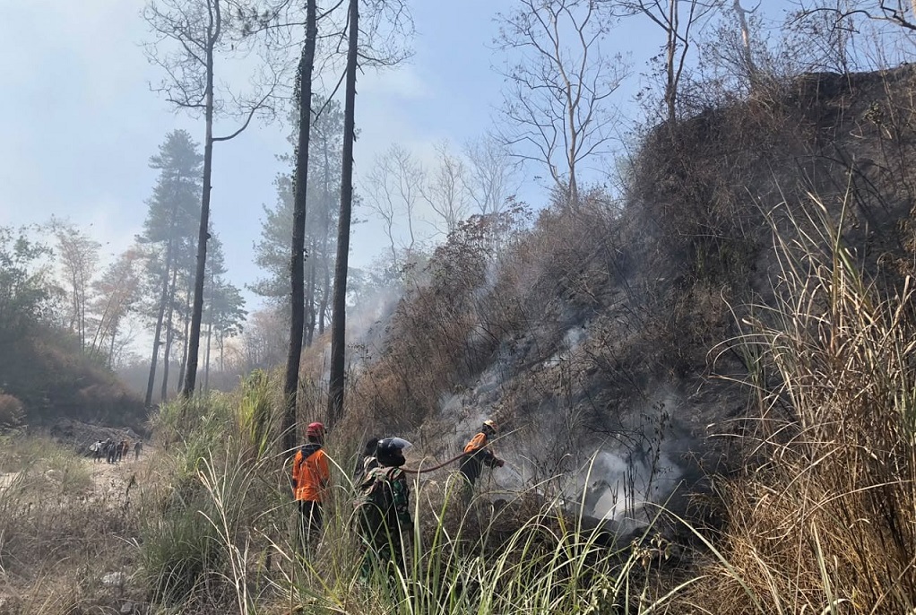 Karhutla Landa Gunung Merapi, 59 Ha Lahan Hangus