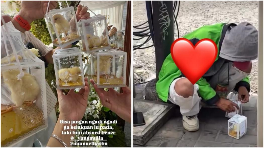 Viral Anak Ayam Jadi Souvenir Pernikahan Rangga dan Nunu, Netizen Murka!