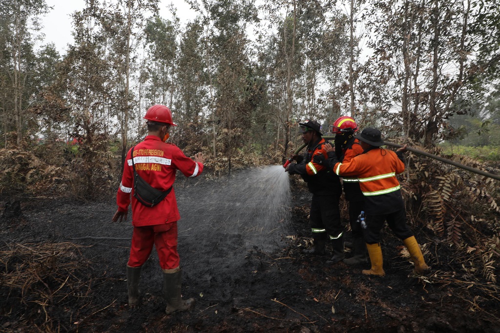 Serbuk asal Brasil buat Padamkan Karhutla Diuji di Sumsel, Diklaim 10 Kali Lebih Efektif Dibanding Air