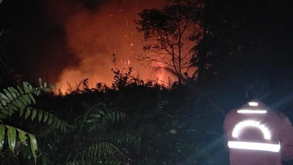 Karhutla Kalimantan Belum Padam, Petugas Hadapi Kendala Akses dan Air
