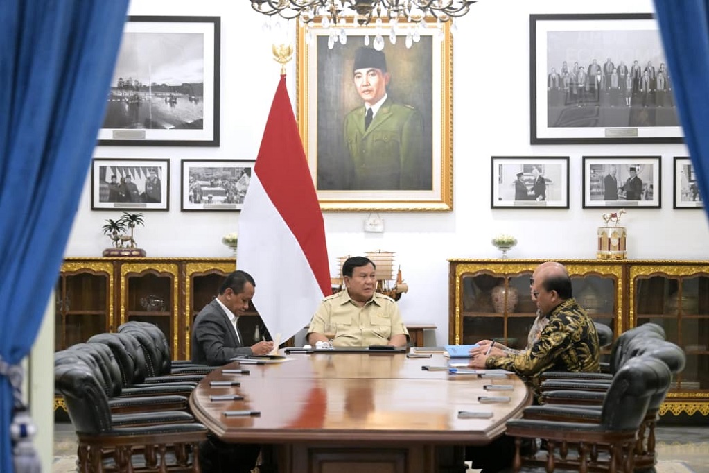 Prabowo Minta Transformasi PLN Dikebut, Dorong Penggunaan Panel Surya 100 GW