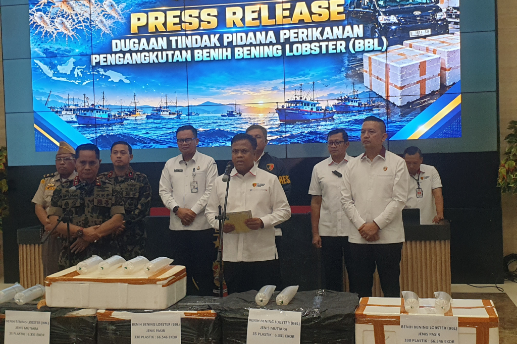 Bareskrim Gagalkan Penyelundupan Baby Lobster Rp5,8 Miliar di Depok, 2 Pelaku Ditangkap