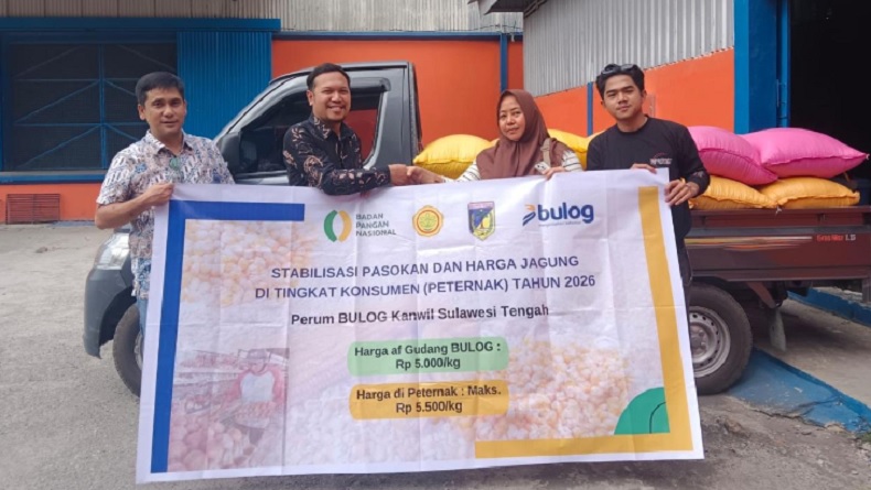 BULOG Gencarkan Penyaluran 150.000 Ton SPHP Jagung Tahap II, Prioritaskan Peternak Mikro