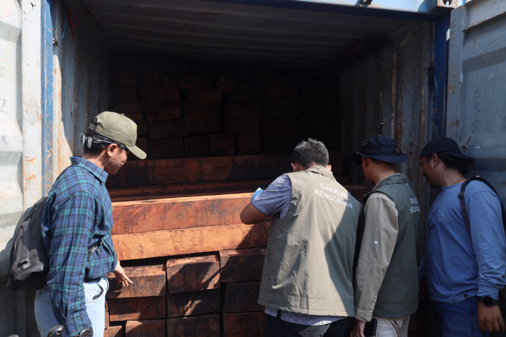 TNI AL Amankan 23 Kontainer Kayu Merbau Ilegal dari Papua Senilai Rp5,5 Miliar